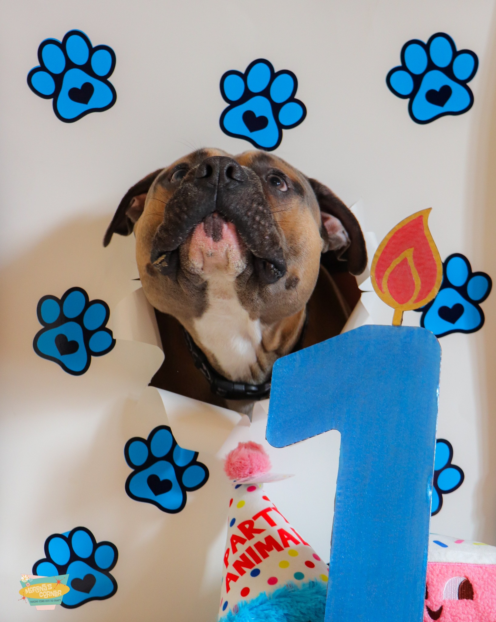 Create an Adorable Puppy Birthday Backdrop
