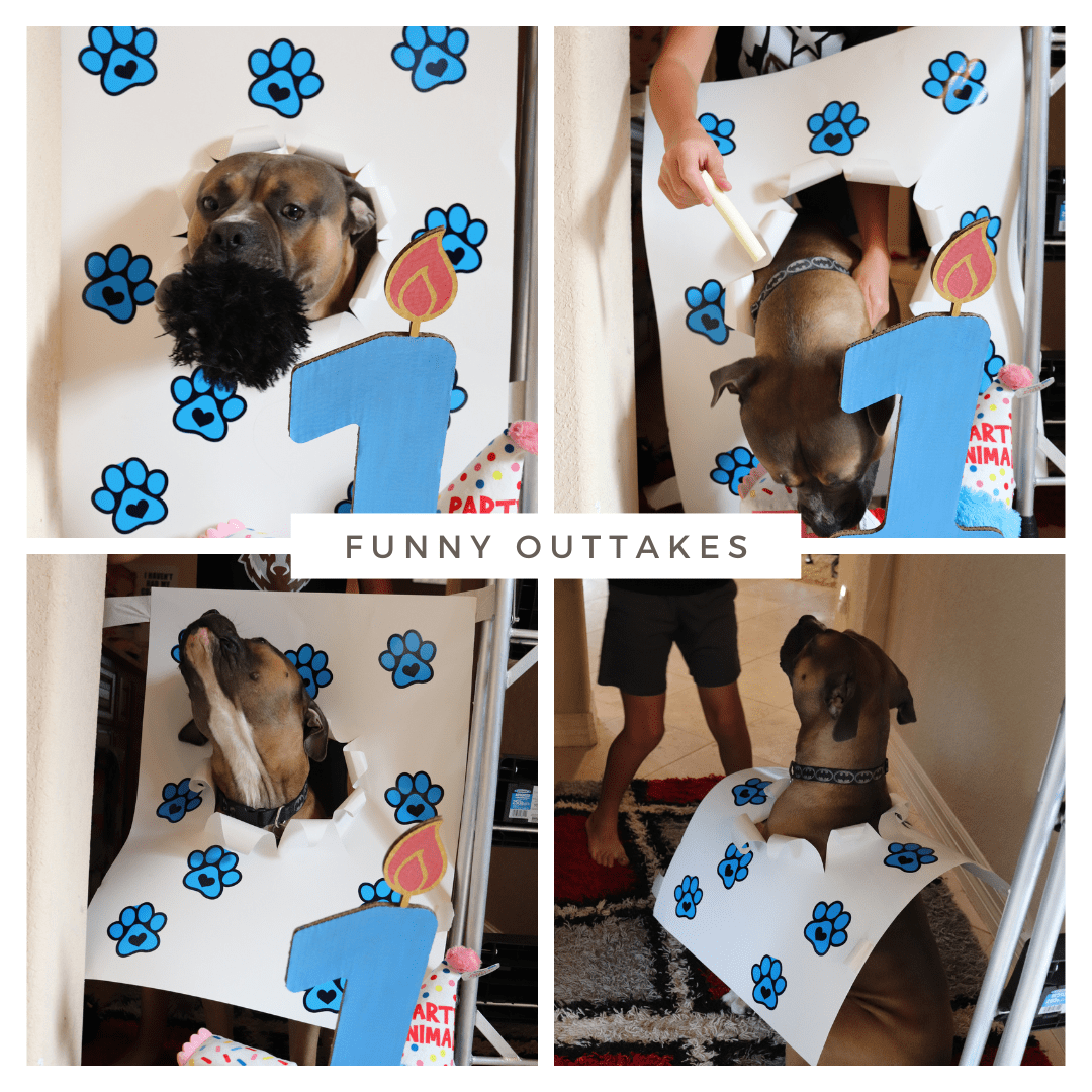 puppy party outtakes