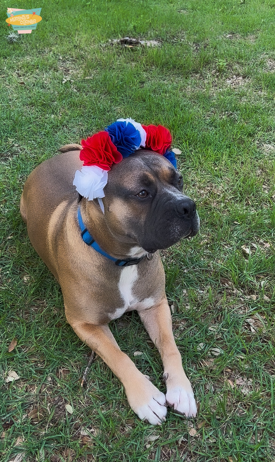 Patriotic Headwear Tutorial