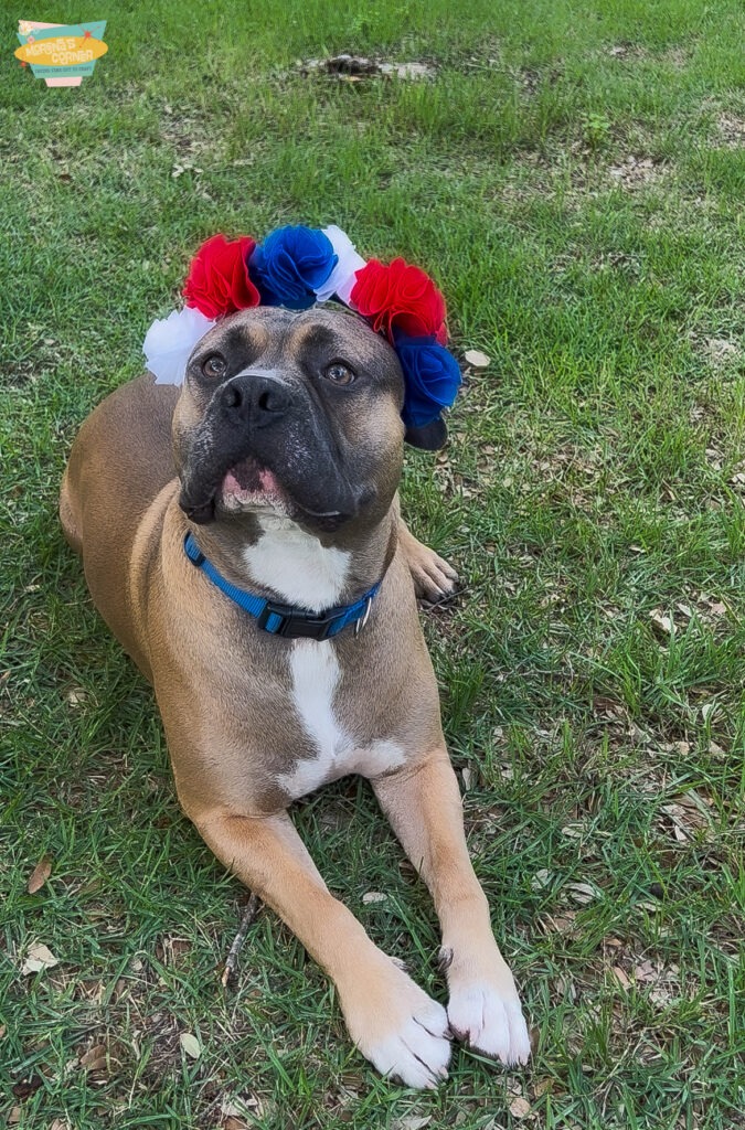 oly-fun headband