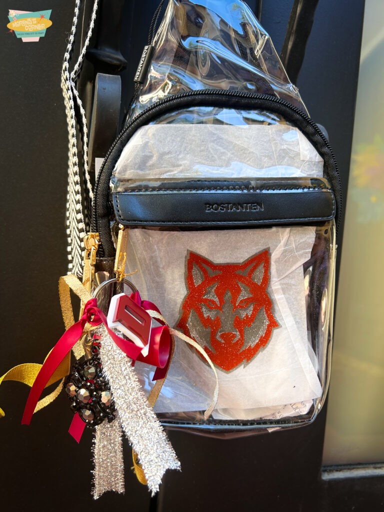 clear cross body school spirit DIY